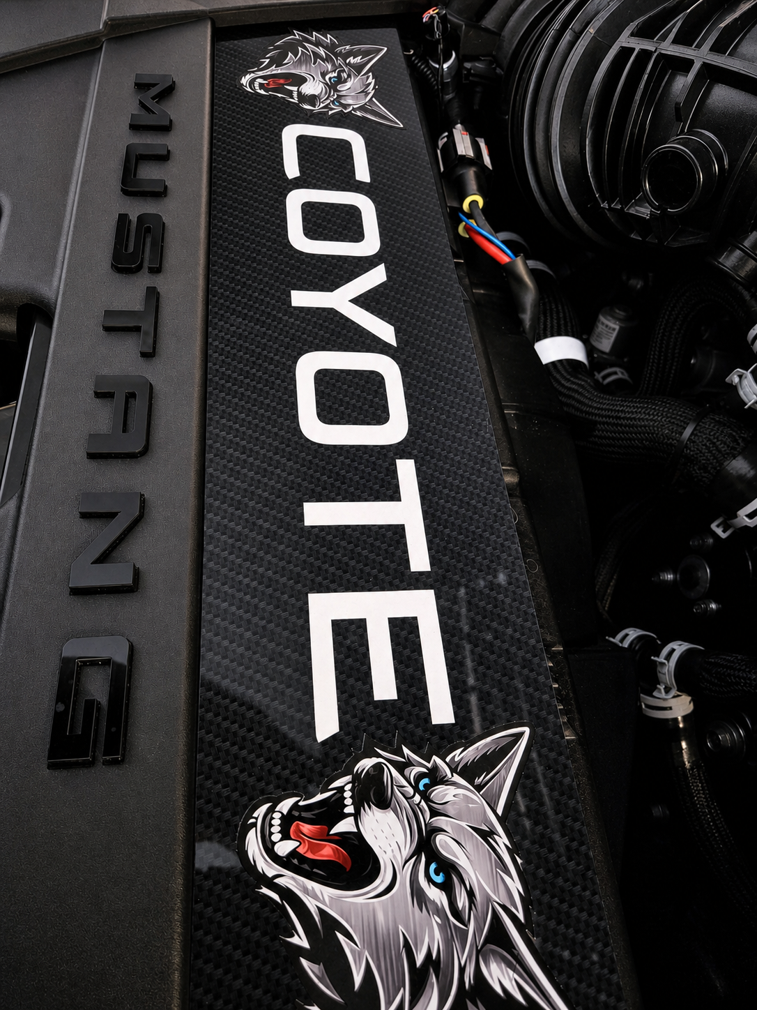 2024+ Mustang S650 Coyote Radiator Shroud Plaque