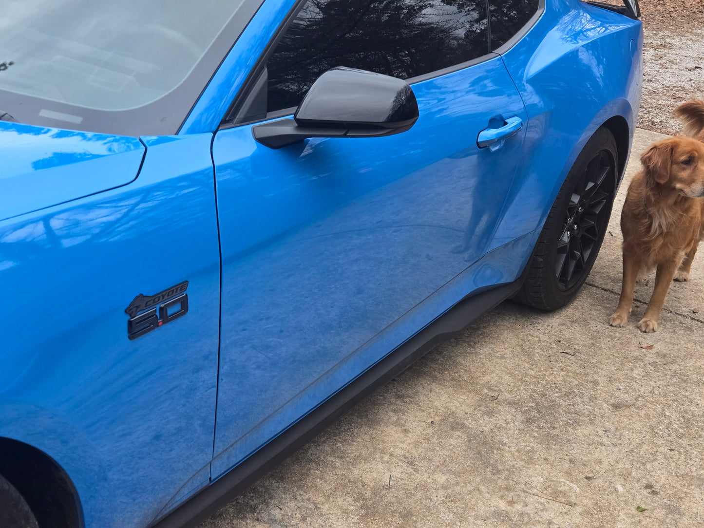 Brushed Metal Coyote Badges – Mustang 5.0 (Set of 2)