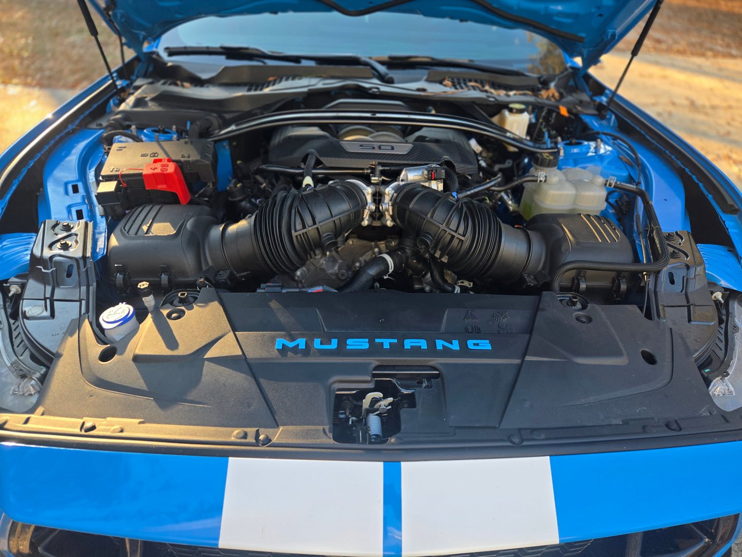 2024+ Ford Mustang Fan Shroud Acrylic Lettering – Custom Color | Premium 1/8" Acrylic