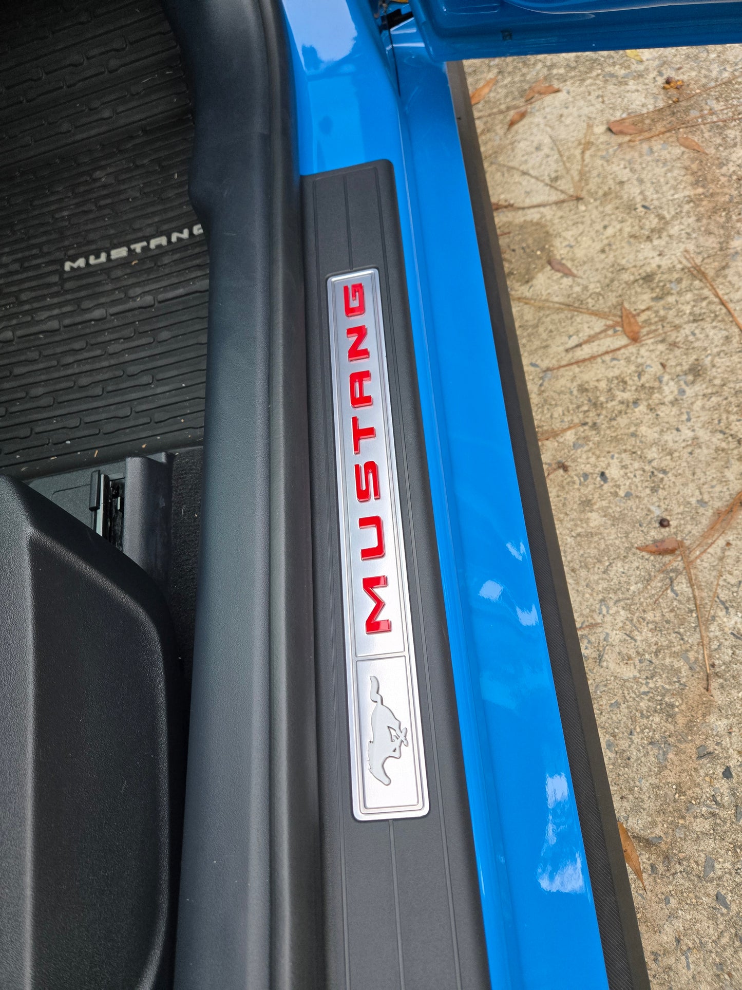 2024+ Ford Mustang Door Sill Pony and Mustang Letters