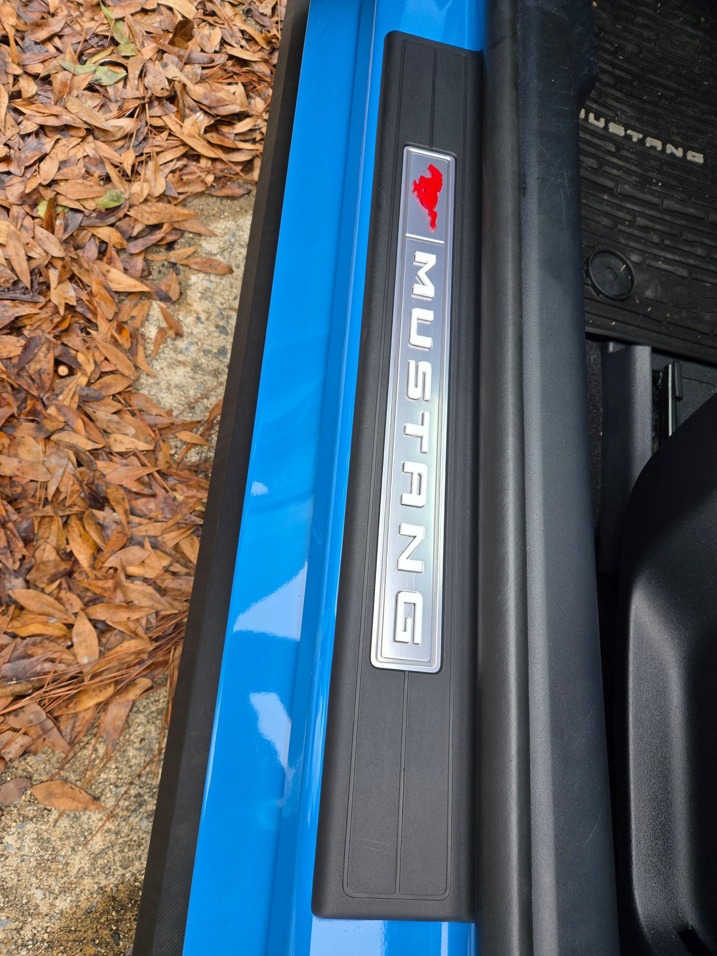 2024+ Ford Mustang Door Sill Pony and Mustang Letters